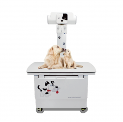 YSX400VET Plus animal & veterinary Digital X Ray Machine 32kw veterinary x ray equipment
