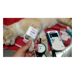 YSDBP520TV Animal Clinical Analytical Instruments Doppler Blood Pressure Monitor