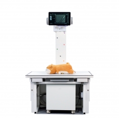 YSDR-VET500 Hospital Medical Fixed 500mA 50kw Digital X-ray Machine for Pet Clinic