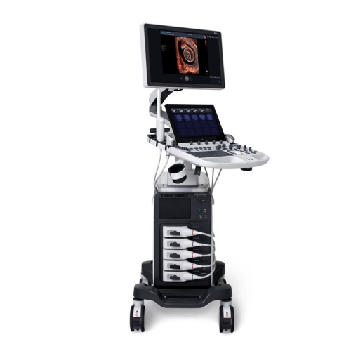 P50 Trolley Color Doppler System 4D Full Digital Ultrasound System With Double Screen