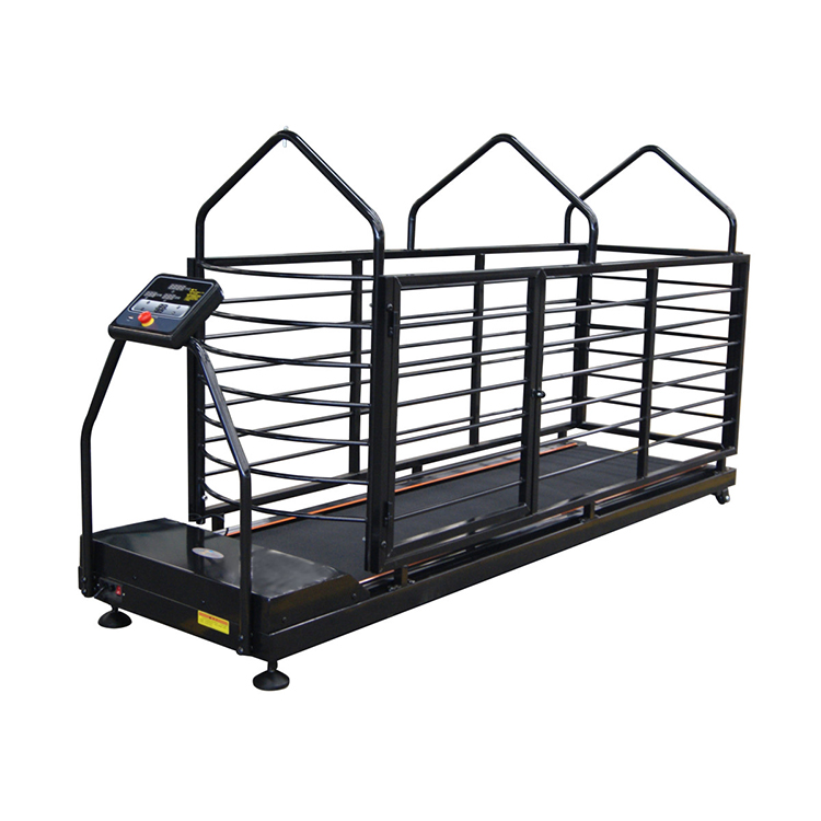 YSVETTM606 Home use dog running machine pet treadmill with LED Display