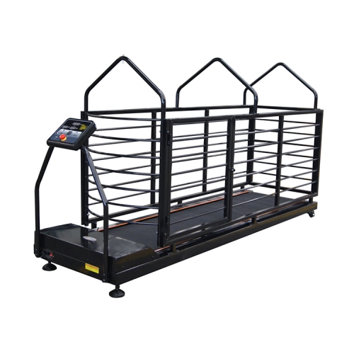 YSVET-TM606 Home use dog running machine pet treadmill with LED Display