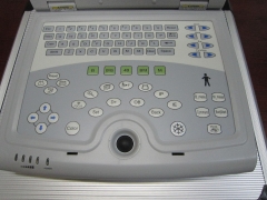 Veterinary Ultrasound Scanner YSB5000V dog cat pet pregnancy scan machine