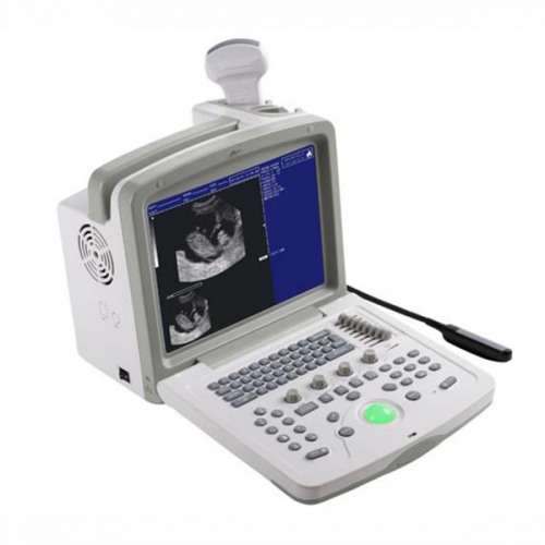 Machine à ultrasons animale portable à sonde rectale linéaire convexe YSB180V à vendre