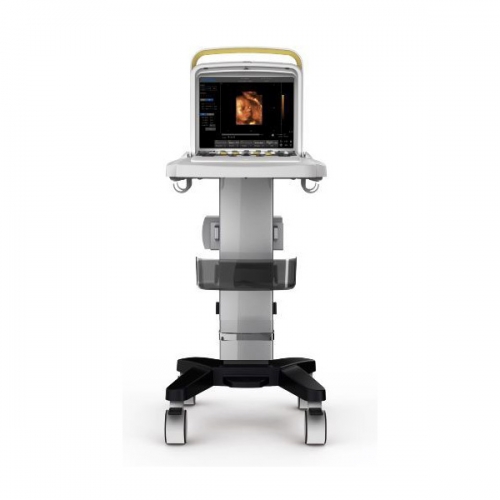 CHISION Q5 Vet 4D machine à ultrasons vétérinaire portable prix unité d&#39;échographie chien chat