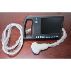 YSB3000V VET Portable Handheld Cheap B Veterinary Animal Vet 3d Ultrasound Machine