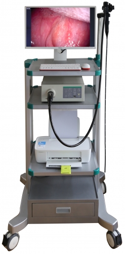 YSNJ-100VET Cheap Veterinary Gastroscope Set Video Medical Flexible Portable Endoscope System