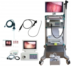 YSNJ-100VET Juego de gastroscopio veterinario barato Sistema de endoscopio portátil flexible médico de video