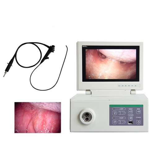 YSNJ-100VET-P Medical Integrated 3.3m Veterinary Vet Pet Video Endoscope in Veterinary Medicine