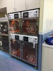 YSVET-ICU veterinary hospital pet ICU monitoring chamber vet infant incubator
