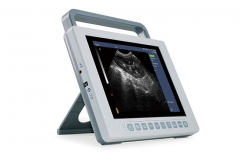YSB-K10V Large Animal Veterinary Vet Ultrasound Scanner Ultrasound Equipment Machine Price