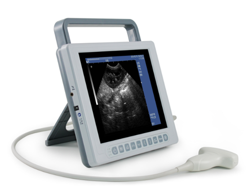 YSB-K10V Prix de la machine à ultrasons pour scanner à ultrasons pour animaux vétérinaires de grande taille