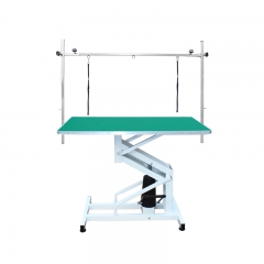 YSVET-N201 Factory Supply Custom-Made Pet Dog Cat Competition Table Hydraulic Lift Beauty Table for Vet Clinic