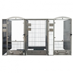 YSVET-DK1 Cage de promenade pour animaux de compagnie de chenil de clinique vétérinaire rentable
