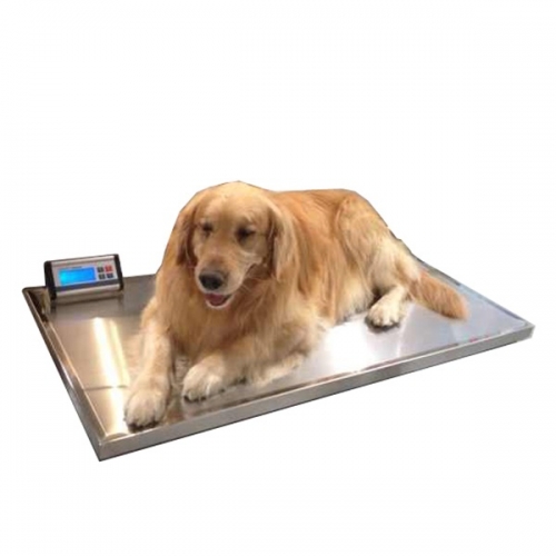 YSVET-TZC150 Veterinary Weighing Floor Scale /LCD Screen Digital Pet Scale/High Precision Animal Scale