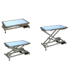 YSFT-829 Animal Products Pet Grooming Table Dog Treating Table with LED Light for Pet Shop