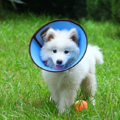 Elizabethan collar for dog and cat veterinary collar for Dog Cat Protection