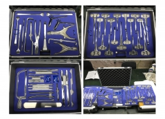 Orthopaedics Surgical Instruments Set W-YZ
