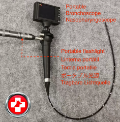 Endoscope vidéo portatif de bronchoscope de nasopharyngoscope visuel pour l'usage vétérinaire