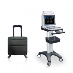 Portable Black & White Ultrasound Scanner YSB-i50