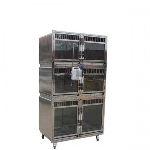 YSVET1220A vétérinaire 304 acier inoxydable 6 cages pour animaux de compagnie pour affichage animalerie exposant