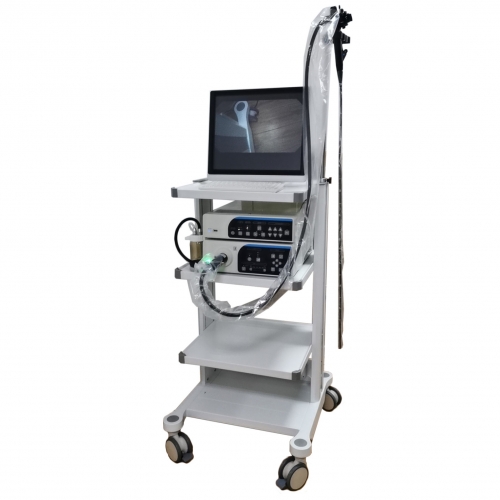 YSVG1050 HD Video gastroscopio y sistema de videoendoscopio colonoscopio