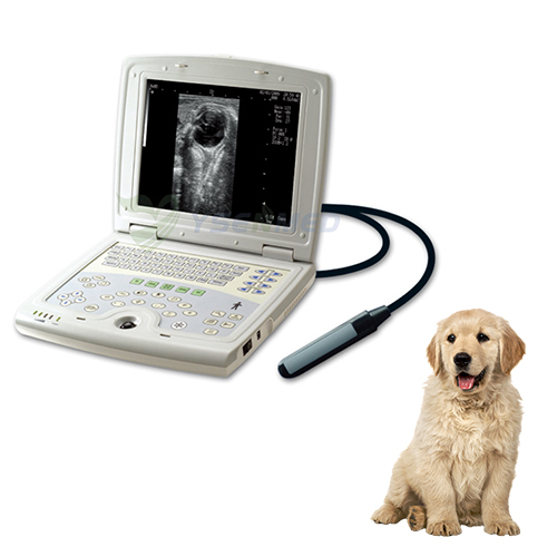 Escáner de ultrasonido veterinario YSB5000V perro gato mascota máquina de escaneo de embarazo