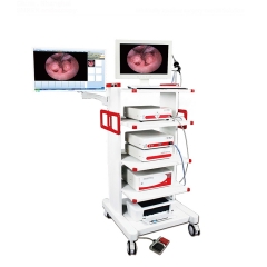 YSVG9800 YSVME2100 Sistema de videoendoscopio de alta calidad