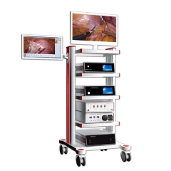 YSVG9800 YSVME2100 Sistema de videoendoscopio de alta calidad