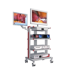 YSVG9800 YSVME2100 Sistema de videoendoscopio de alta calidad