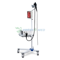 Veterinary Video Endoscope System Setting YSENDO150V