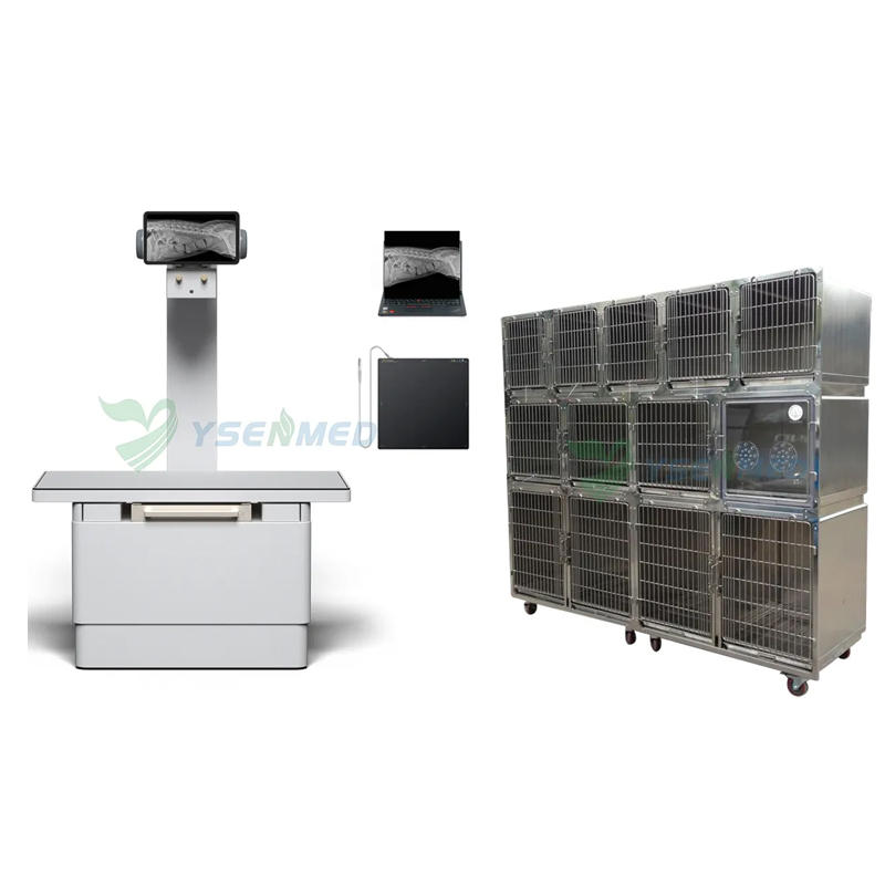 Veterinary Equipment