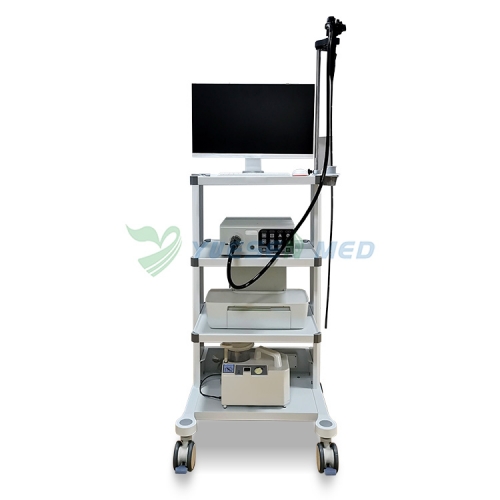 YSNJ-100VET Ensemble de gastroscope vétérinaire bon marché Vidéo Système d'endoscope portable flexible médical