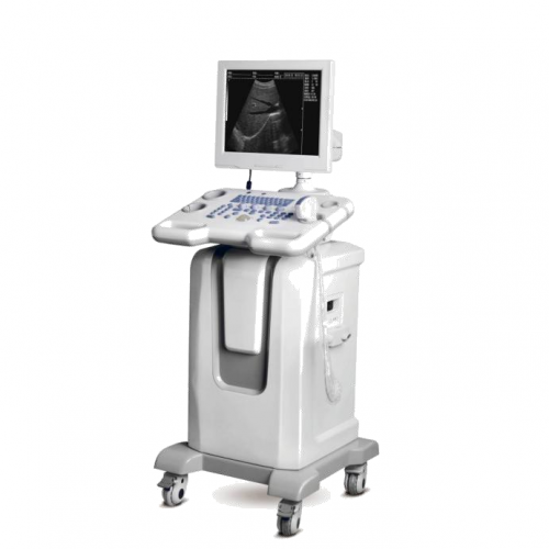 Sistema de ultrasonido de máquina de ultrasonido B/W LCD HD de 15 pulgadas con carro para clínica YSB-350