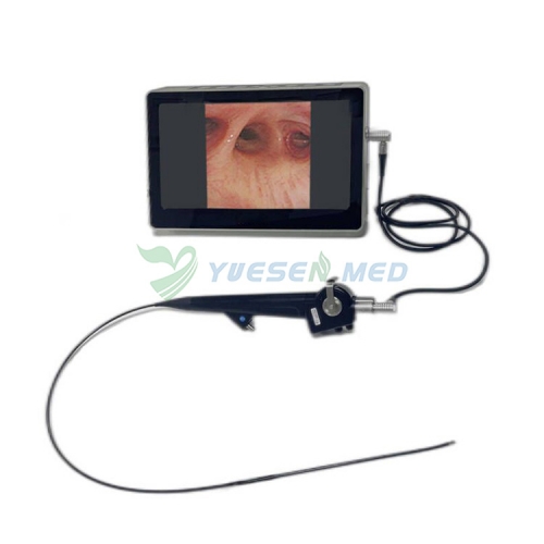 YSNJ-100VET Juego de gastroscopio veterinario barato Sistema de endoscopio portátil flexible médico de video
