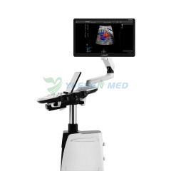 Hot Selling SonoScape P12 EliteTrolley 4D Color Doppler Ultrasound Machine