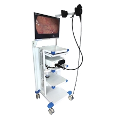 Endoscope vidéo portatif de bronchoscope de nasopharyngoscope visuel pour l'usage vétérinaire