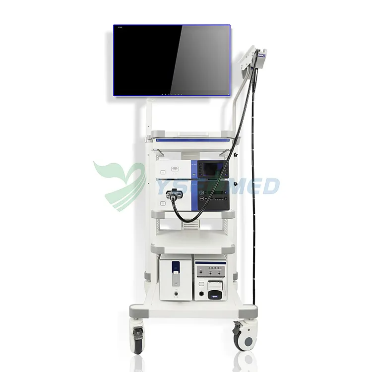 Sistema de imágenes endoscópicas YSAQ-200