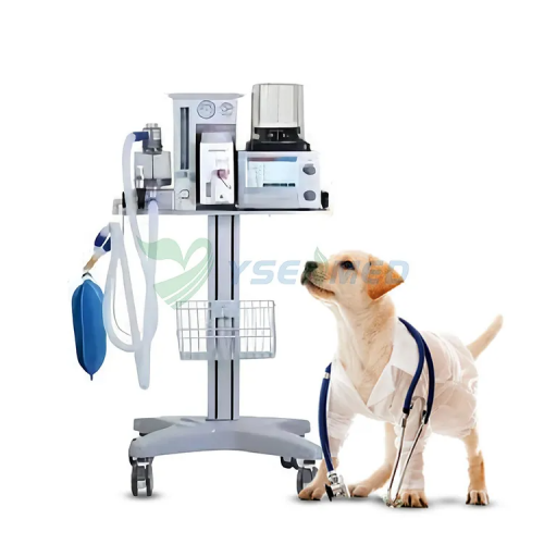 Máquina de anestesia veterinaria YSAV-DM6B