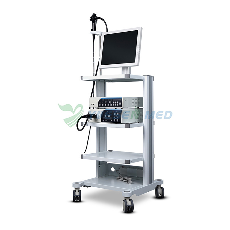 Video Endoscope System YSVME-200