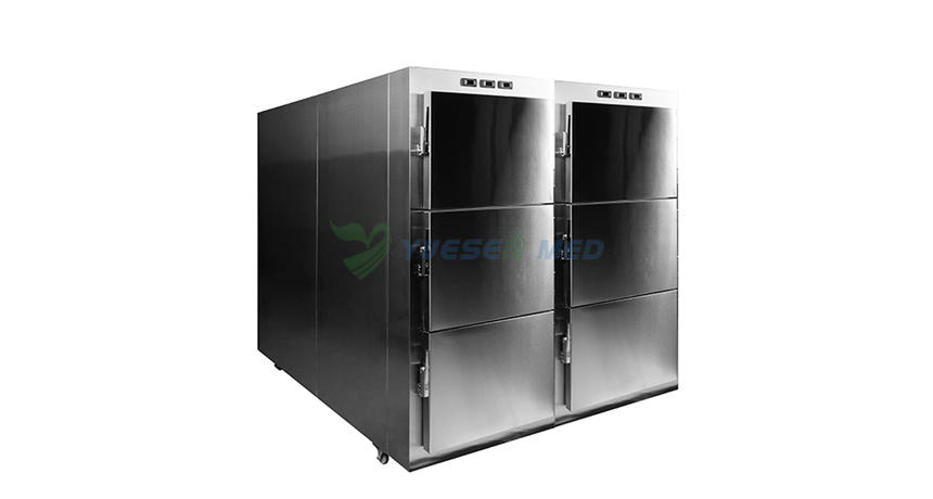 YSENMED customized 6-body morgue freezers delivered to Kenya