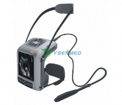 YSB5200V portable cow equine ultrasound machine price with linear backfat probe