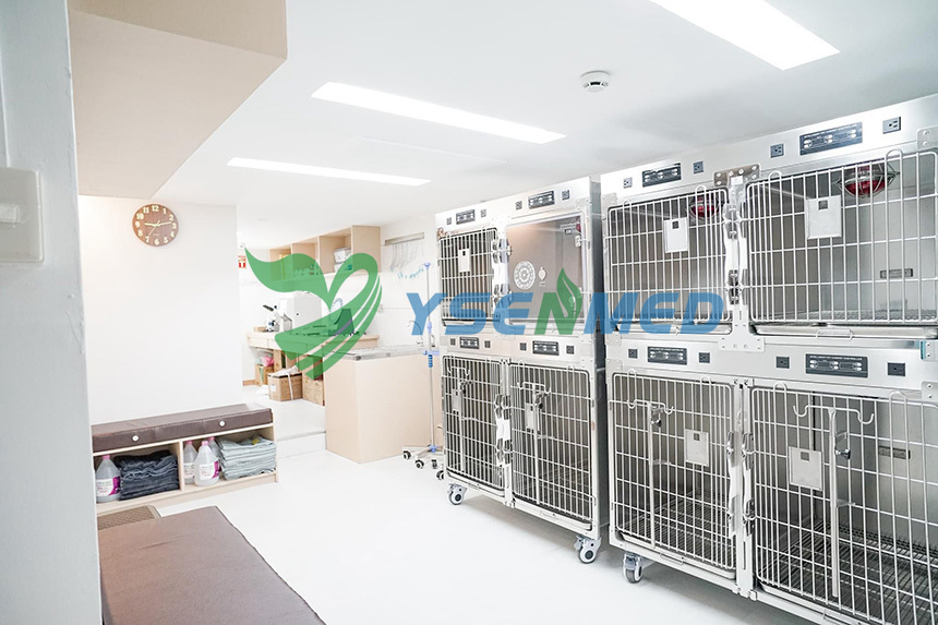 Vet from Philippines content with YSENEMD veterinary supplies