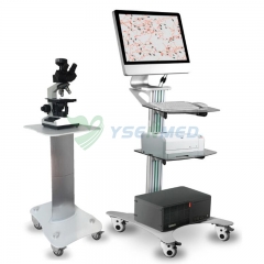 Équipement de FIV de sperme d'analyseur YSTE-SW3702