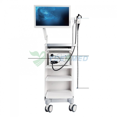 Système d&#39;endoscope médical YSVME-6100H Plus