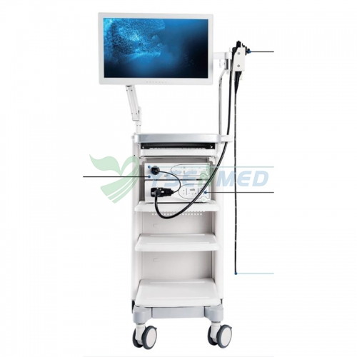 Système d&#39;endoscope médical YSVME-2900H