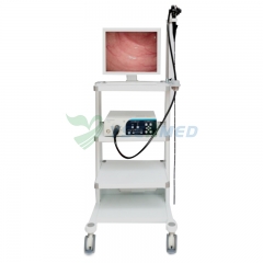 Sistema de endoscopio médico YSVME-200A