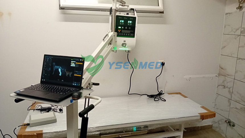 Le vétérinaire Cyprien est satisfait du système de radiographie numérique YSENMED YSX053-A VET