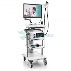 Sonoscape V-2000 Veterinary Endoscopy System