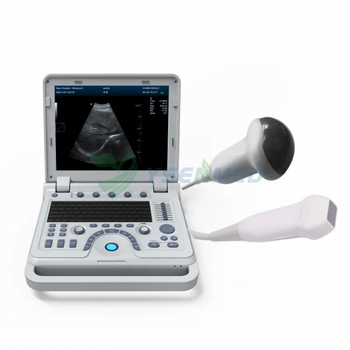 Portable 4D Color Doppler Ultrasonic Diagnostic System YSB1700B